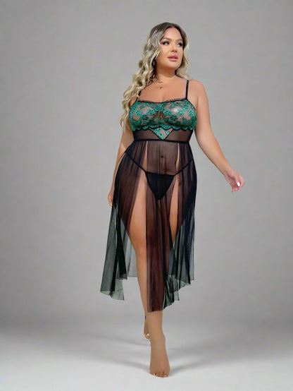 Curve Lace See Through Temptation Lingerie