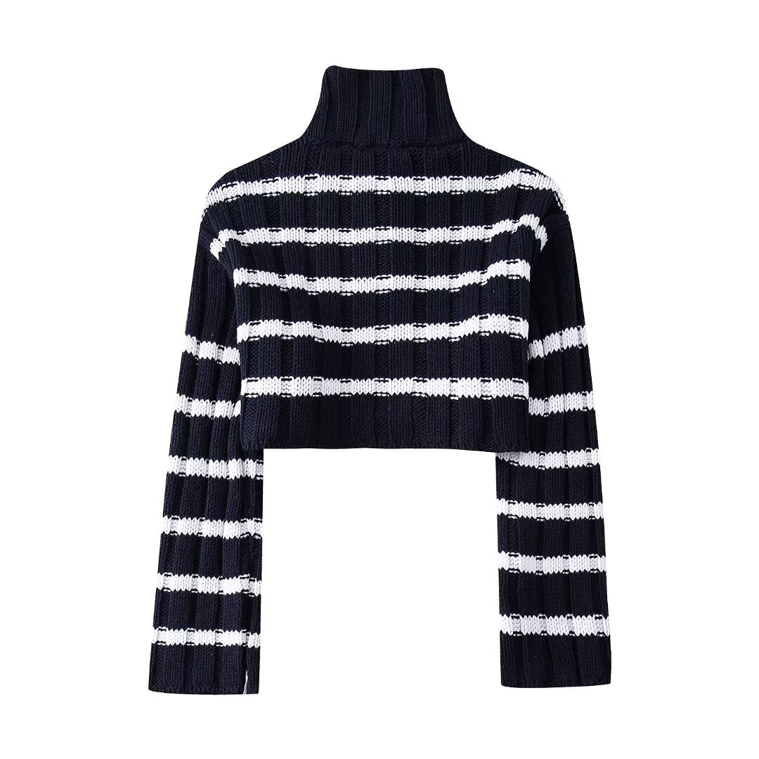 Cropped Turtleneck Striped Knitted Sweater