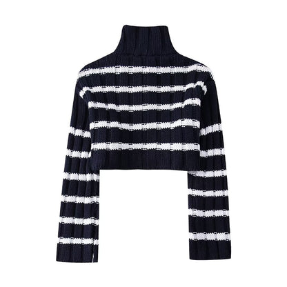 Cropped Turtleneck Striped Knitted Sweater