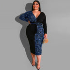 Curve Leopard Print Multicolor Sheath Dress