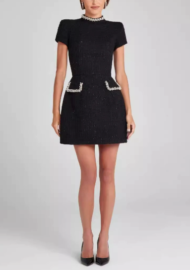 Elegant Slim Beaded Classic Dress