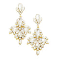 Glass Crystal Statement Evening Earrings