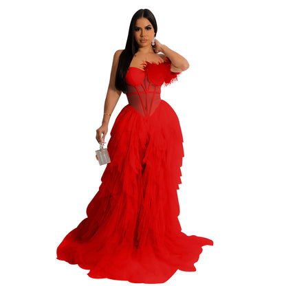 Chest Wrap Mesh Maxi Feather Dress