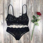 Embroidered Lace Lingerie Bra & Panties Set