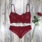Embroidered Lace Lingerie Bra & Panties Set