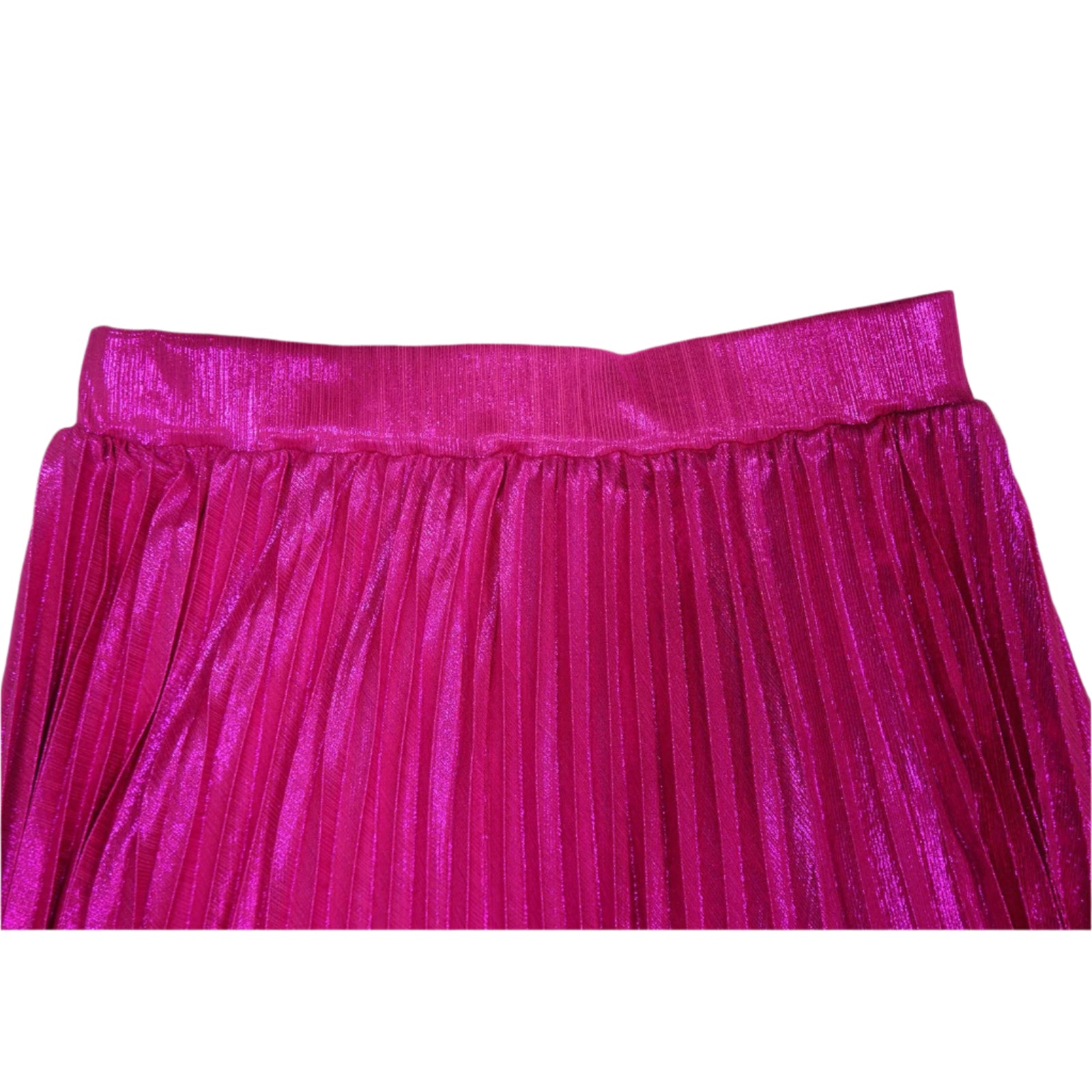 Shimmery Split Pleated Skirt