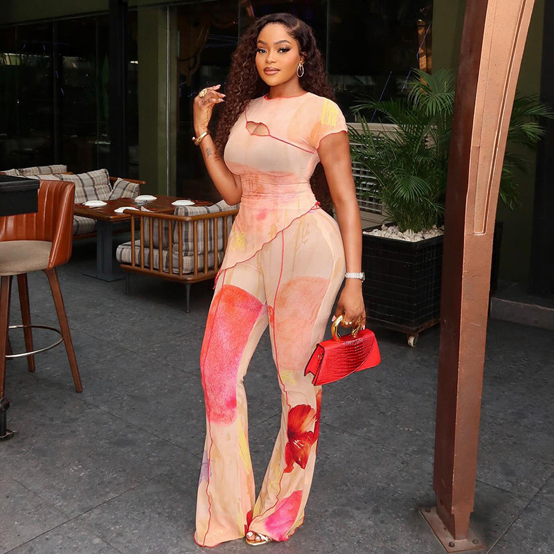 Short Sleeve Sheer Asymmetric Two Piece Pant Sets