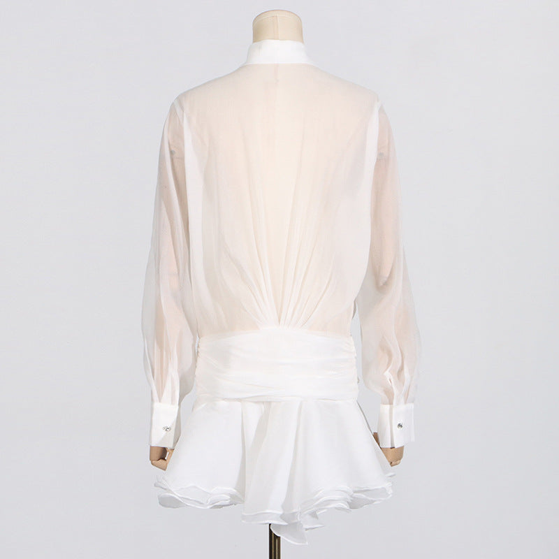 Sheered Pleated Long Sleeve Short Dress