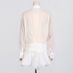 Sheered Pleated Long Sleeve Short Dress