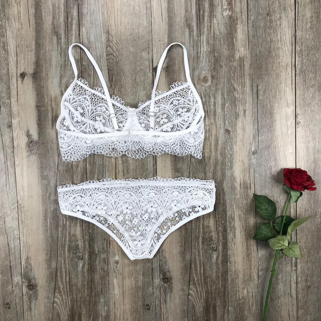 Embroidered Lace Lingerie Bra & Panties Set