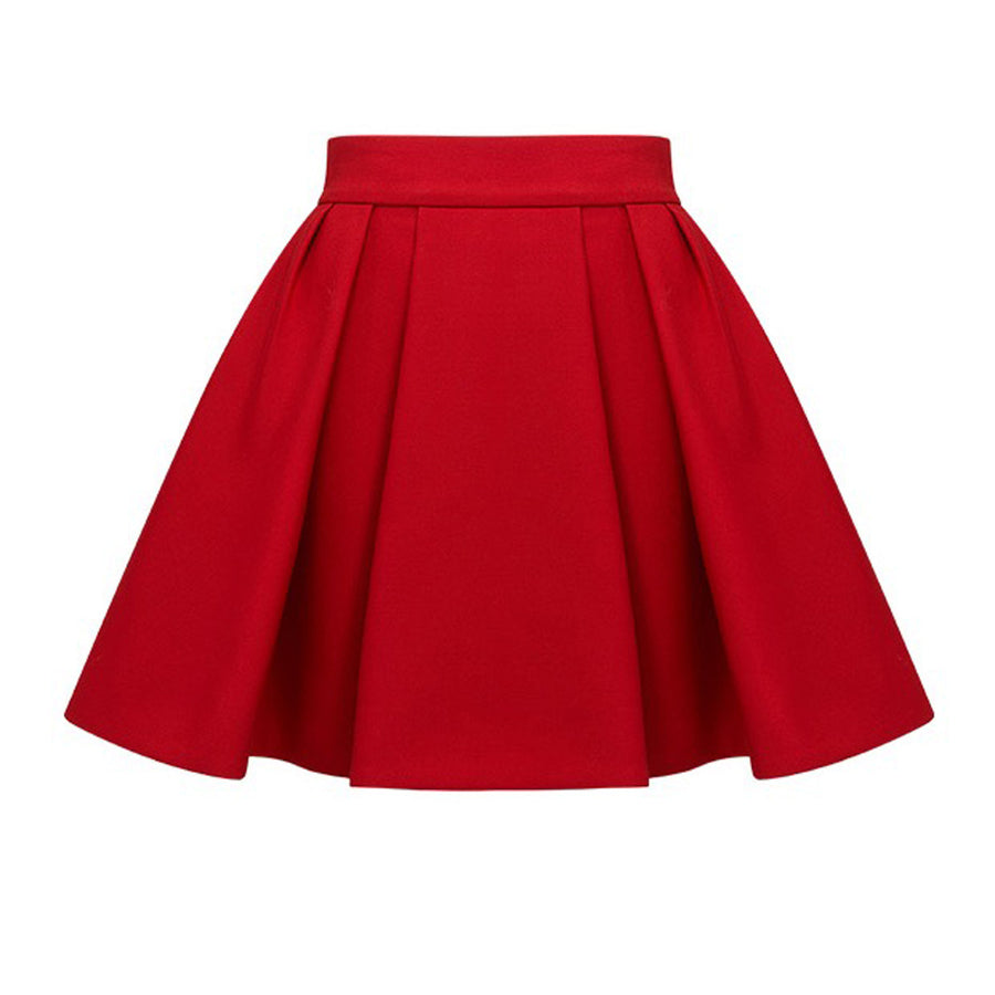 A line Pleated Skirt