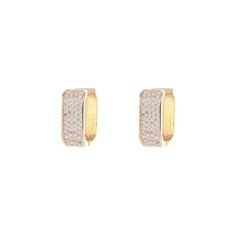 Micro-encrusted Zircon Earrings