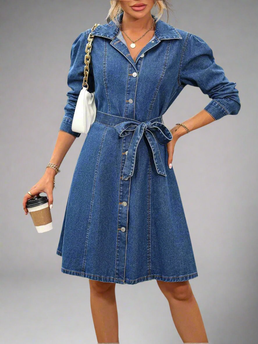 Retro  Denim Dress