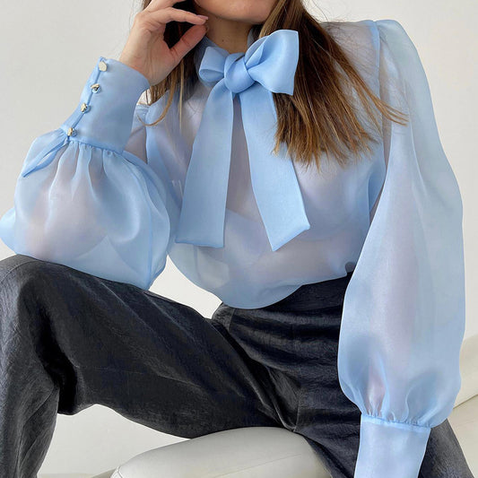 Sheer Mesh Long-Sleeved Bow Top