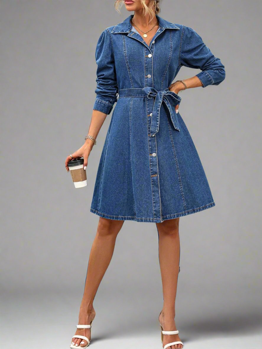 Retro  Denim Dress